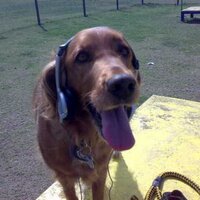 Andrea Arias (@andreacui) 's Twitter Profile Photo Andrea Arias (@andreacui) 's Twitter Profile Photo