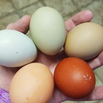 chebar74's profile picture. 