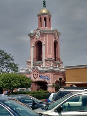 Wilson11Sr's profile picture. just some guy