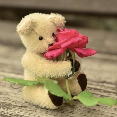 TheJenniferWen's profile picture. Lifestyle