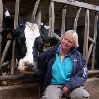 Gangbare melkveehouderij, geniet van onze koeien, paarden en het buiten leven. Dorpsbelangen Yde-de Punt, Studieclub vrouw en veehouderij, wg snel internet Yde-
