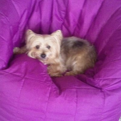 caledonia28's profile picture. 