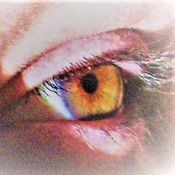 fotolvr's profile picture. I'm a survivor, photographer,& lover of GOD. Want to know more about my interests? Go to my Google+ page and look at my collection so far, + all I follow.