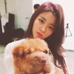 tkiseolhyun's profile picture. 
