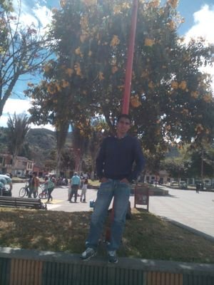 Ingeniero Químico