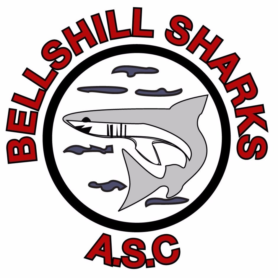 AscSharks Profile Picture