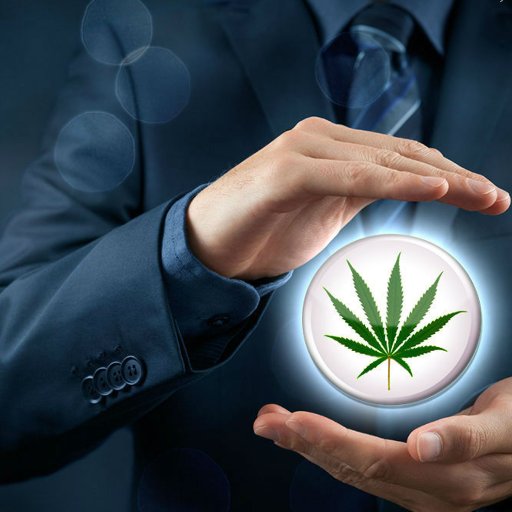 Cutting Edge Counsel for the Legal Marijuana Industry