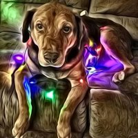 Judy G!!! (@jjetson67) 's Twitter Profile