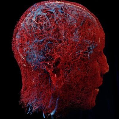 Skank_hunt_4_2's profile picture. Je RT parfois de la propagande insoumise parce que pertinente mais je ne voterai jamais pour des Mélenchon ou Corbière, dégagez les. Dieu est mort.