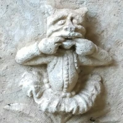 Javier Torrontegi Profile