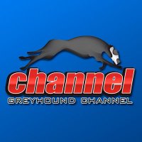 Greyhound Channel(@greyhoundchan) 's Twitter Profile Photo