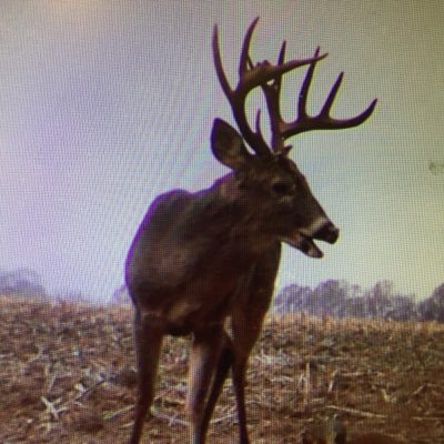 PhortonPhil's profile picture. 