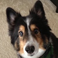 Tom Quinn (@tquinn_013) 's Twitter Profile