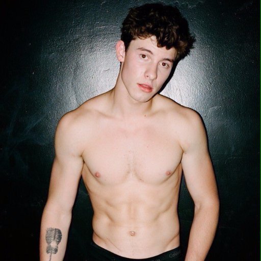 not the real Shawn Mendes... just a dedicated fan :) _ @ShawnMendes _ #MendesarmyBrazil . @Brookecandy /// @pabllovittar and your New Abum Vai passar mal .