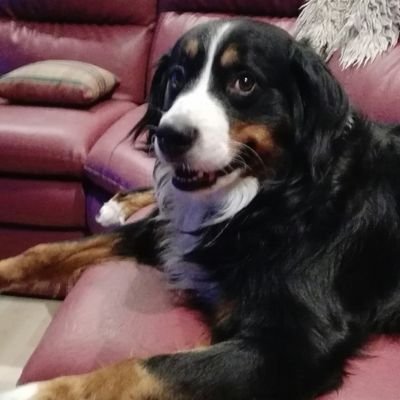 ToniaTen's profile picture. Getrouwd met Bart moeder van Jan leendert. . Respect voor alle mensen die er toe doen, waaronder alle politie agenten