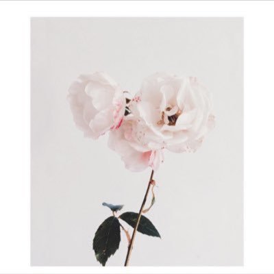 truman_marty's profile picture. hEllO My NUmE IS MaRTy HEALlY. SOmÊ CUwTS WANnA cAll Me SOmeBody Else BuT ThATs NoT My NuME!!!!! ;(((((( SPrEAd AWArNESs #MaRtyForCuCklKks