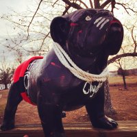 Cash Allen (@7allen3) 's Twitter Profile Photo Cash Allen (@7allen3) 's Twitter Profile Photo