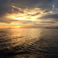 lost (@mpulio) 's Twitter Profile
