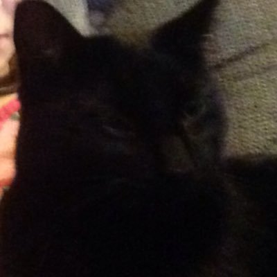 DestyneYoder's profile picture. Art Music