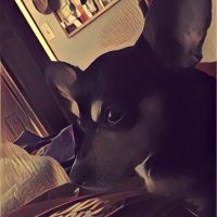 PACE (@pace02448) 's Twitter Profile