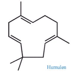 centralnovels's profile picture. 立命館 創薬1期卒/同修士卒('21)/医薬品合成屋(4年半)→特許屋/Kawasaki Ninja400 / 神奈川→滋賀→大阪→山形→大阪