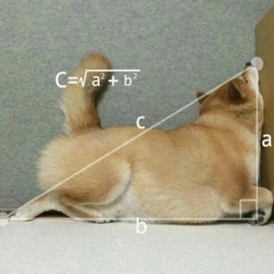 bandntail's profile picture. 