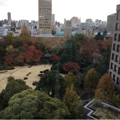 京都大学(笑