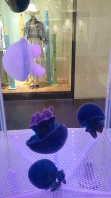 risako1208's profile picture. 🍏🌰🍕🍀🔇🐷