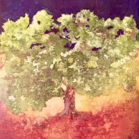 Charles R Vineyards(@CharlesRWinery) 's Twitter Profile Photo