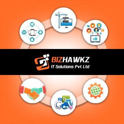 BizHawkz is a digital marketing/branding agency&IT solutions provider company that connects clients with the best professional resources.https://t.co/Lu5zM78Tvi