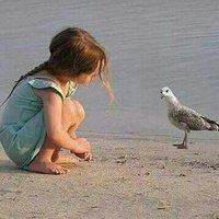 رياح الهجر (@alialmajidi2005) Twitter profile photo