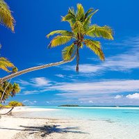 MyDigital3domJourney (@mydigital3dom1) 's Twitter Profile