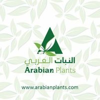 مؤسسة النبات المحنط للتجارة 🌴 النبات العربي(@arabianplants) 's Twitter Profile Photo