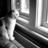 Lesley_Cat's profile image