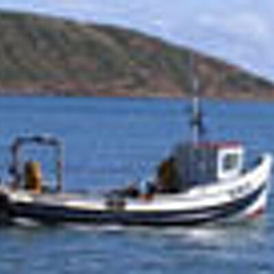 fileybaydotcom's profile image