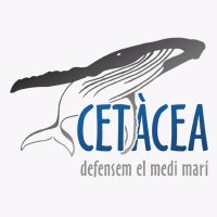 Associació Cetàcea(@ACetacea) 's Twitter Profile Photo