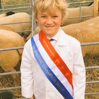 Rollo (@rollohome) 's Twitter Profile