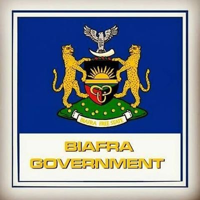 davidkingtheo's profile picture. 