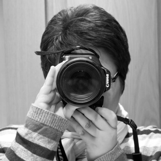 Conservadora Restauradora, profesora de piano, fotógrafa aficionada, aprendiz de escritora, artesana, lectora empedernida, observadora, superviviente