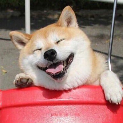 いぬまる 縄文人すげー 麻酔なしで犬歯を抜歯して 下の前歯を全部抜く そして上の前歯4本をフォーク状に削るとか想像しただけで失神するわ 根元までがっつりいってるし 縄文時代に生まれてなくてよかった T Co T6ghuctotl いぬまる 縄文人すげー 麻酔なしで犬歯を抜歯して 下の前歯を全部抜く そして上の前歯4本をフォーク状に削るとか想像しただけで失神するわ 根元までがっつりいってるし 縄文時代に生まれてなくてよかった T Co T6ghuctotl