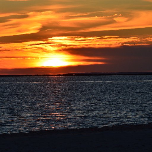 ramosk1607's profile picture. Historian, Archaeologist, Librarian. One crazy package all rolled in to one!