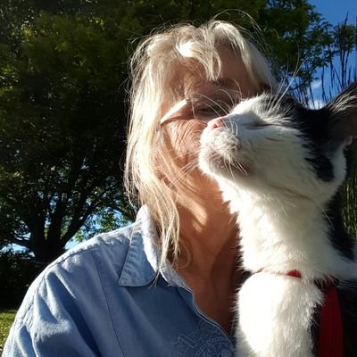 Conservative.My Father taught us hand- over-heart loyalty...My Country-Right or Wrong. Artist. Dog Groomer.Animal Rights. Bagpipe musician.