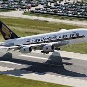 rogelio_tiburon's profile picture. deportes y politica