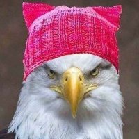 Allison Liddi Brown (@allisonliddibro) 's Twitter Profile