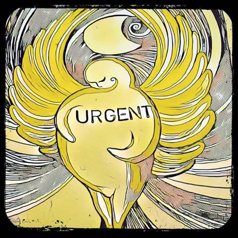 Poet, prof, dean, devotee & querent. Image & text, intersectional feminisms, anti-racism, writing. RT/follow =/= endorsement; views = mine alone. #resist