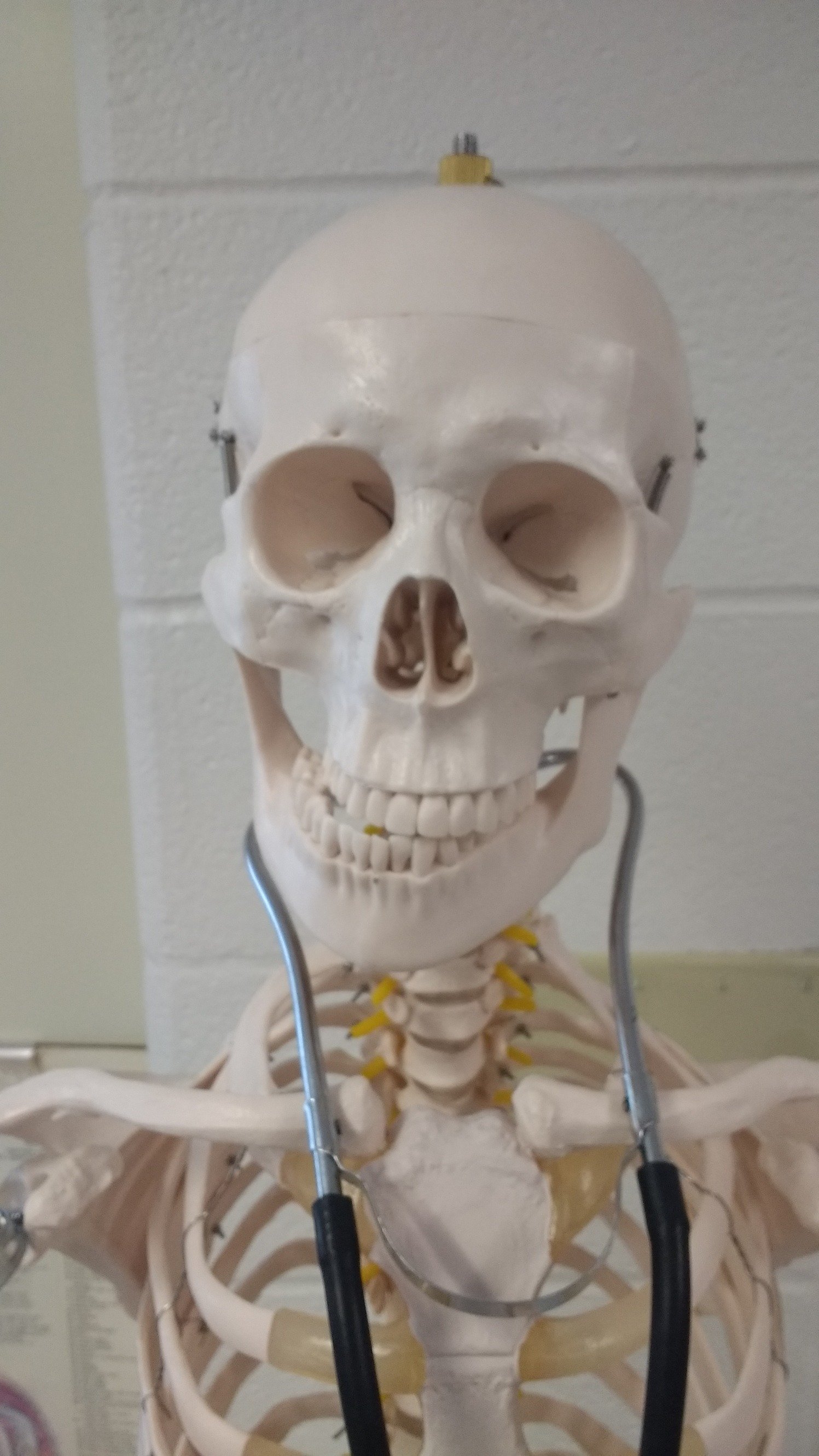 wmspltw's profile picture. Official Twitter of WMS PLTW