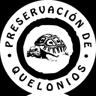 Somos una organización sin fines de lucro, afiliada al Pacto Mundial de la ONU dedicada a la protección, preservación y conservación de diversas especies