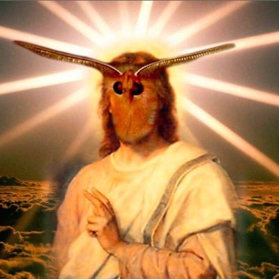 saintbogomol's profile picture. 