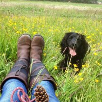 Dr Lorraine Cowley (@roadsquirrel) 's Twitter Profile