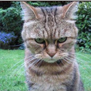 Trisha Jacob - @ccontrol - Twitter